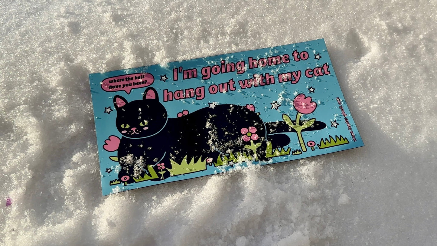 'I'm Going Home to Hang Out with My Cat' Bumper Sticker