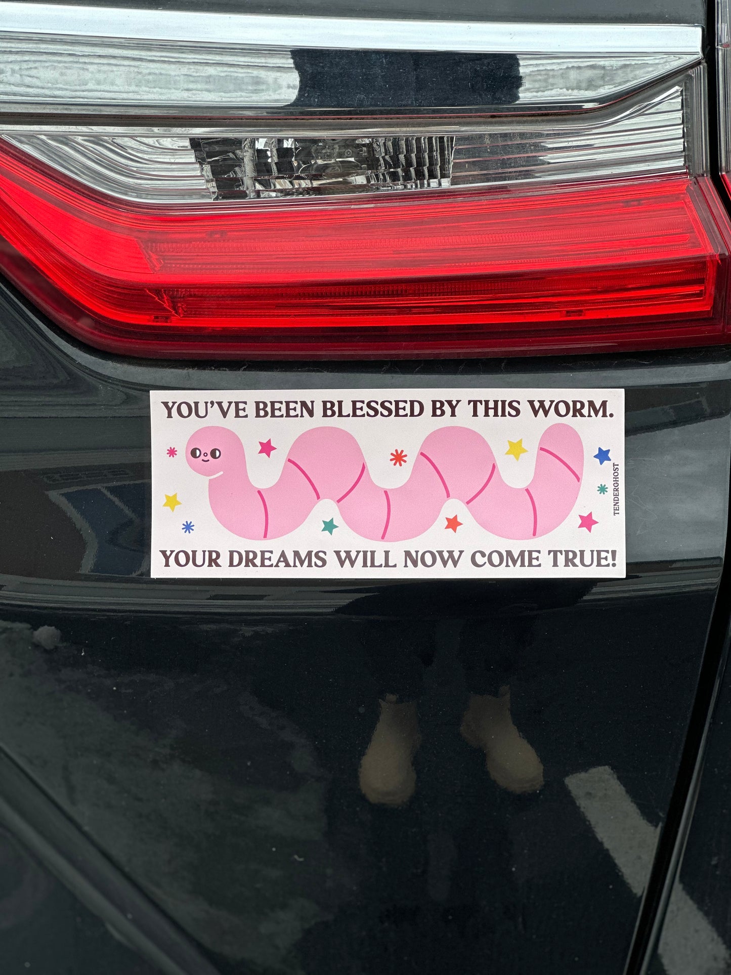'Blessed By This Worm' Bumper Magnet