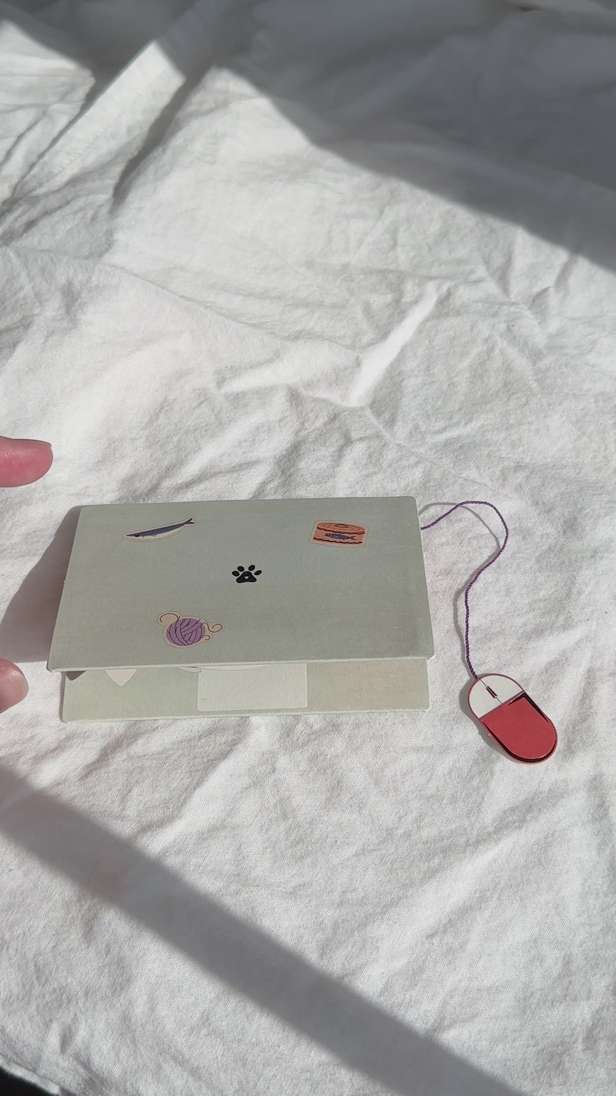 Funny pop-up cat birthday card with mischievous kitty typing on laptop keyboard.