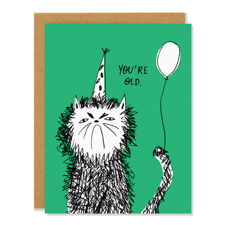 You're Old – Funny Cat Birthday Card | Grumpy Cat Humor Greeting Card, Sarcastic Card for Friends, Quirky Animal Birthday Card