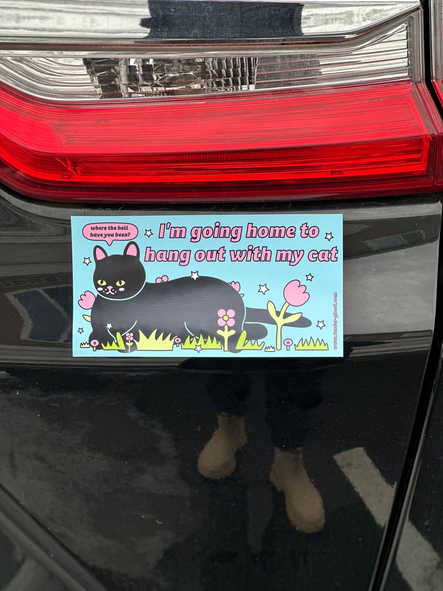 Hang Out with My Cat Bumper Sticker