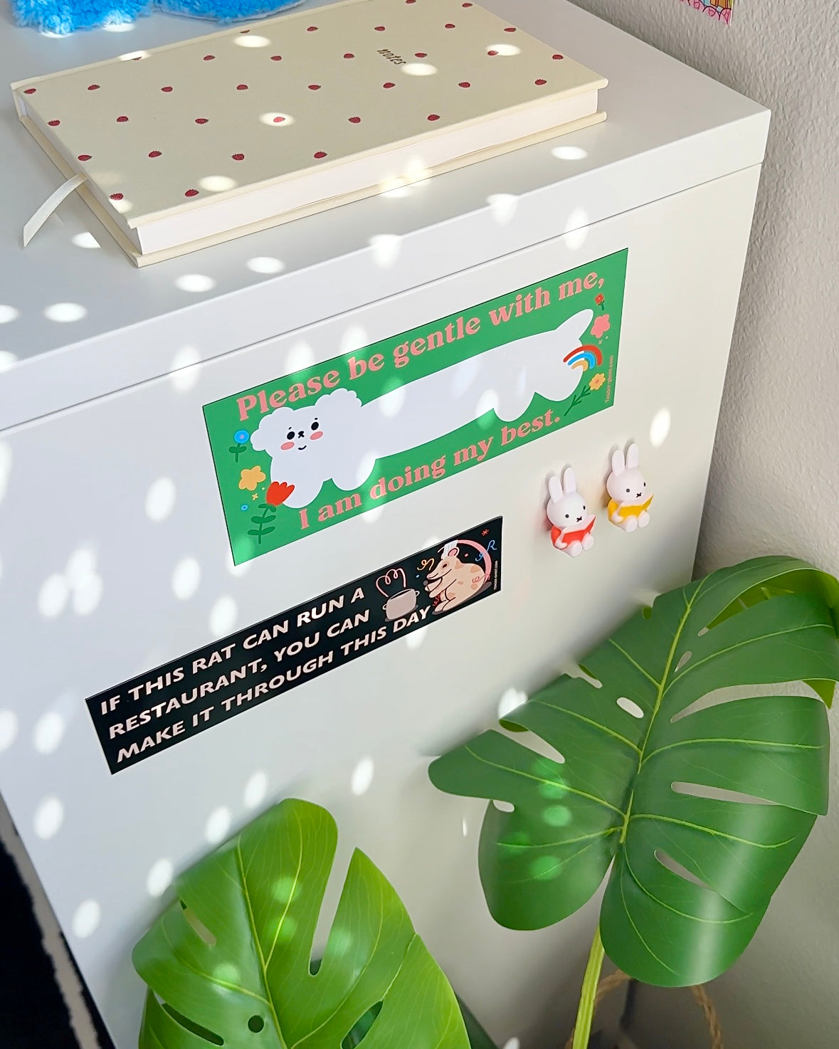 “Please be gentle with me” car magnet displayed on a metal surface, designed for anxious or new drivers who value kindness on the road