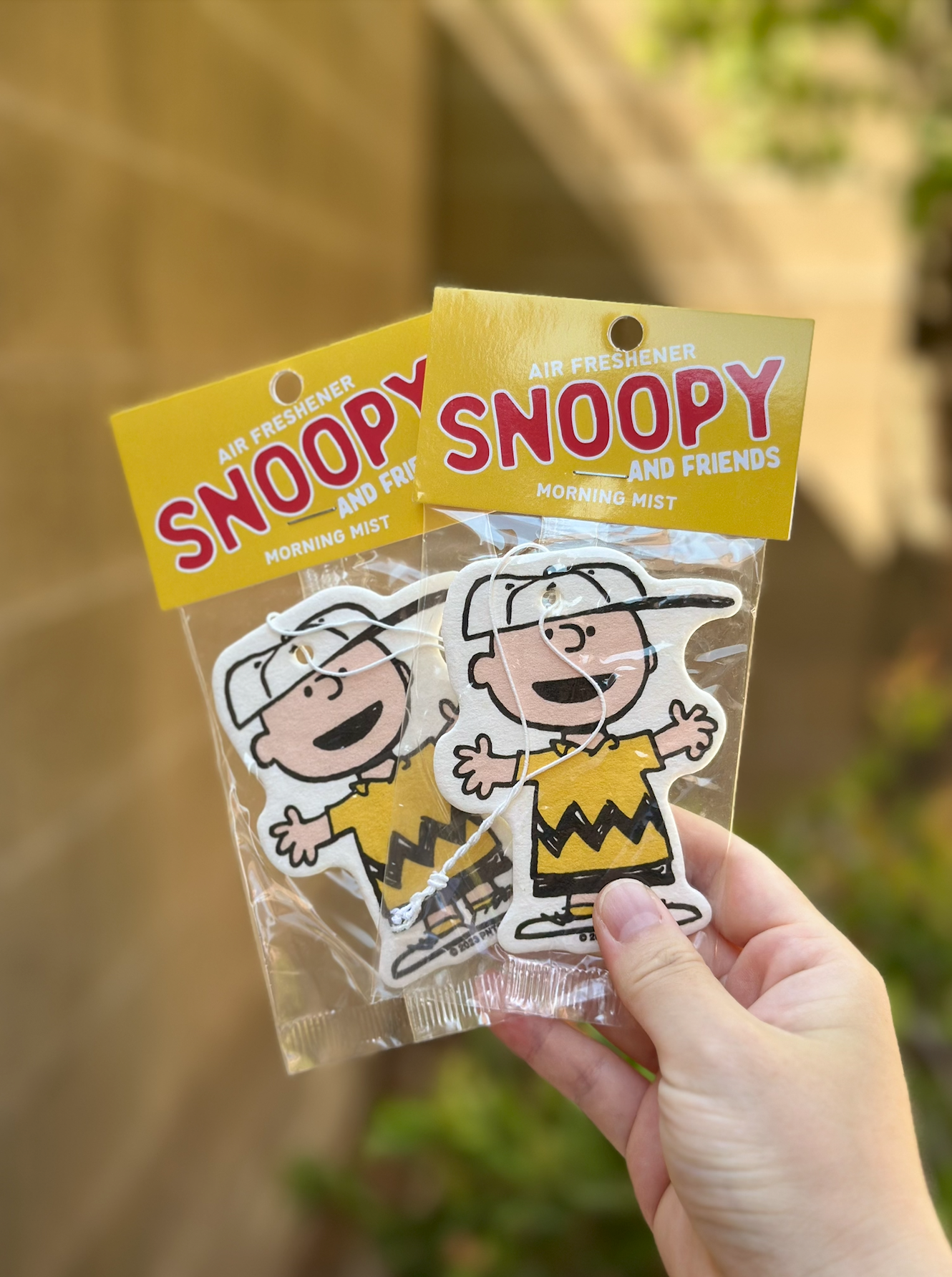 Hand holding two packaged Charlie Brown air fresheners in Morning Mist scent against a soft brick wall background.