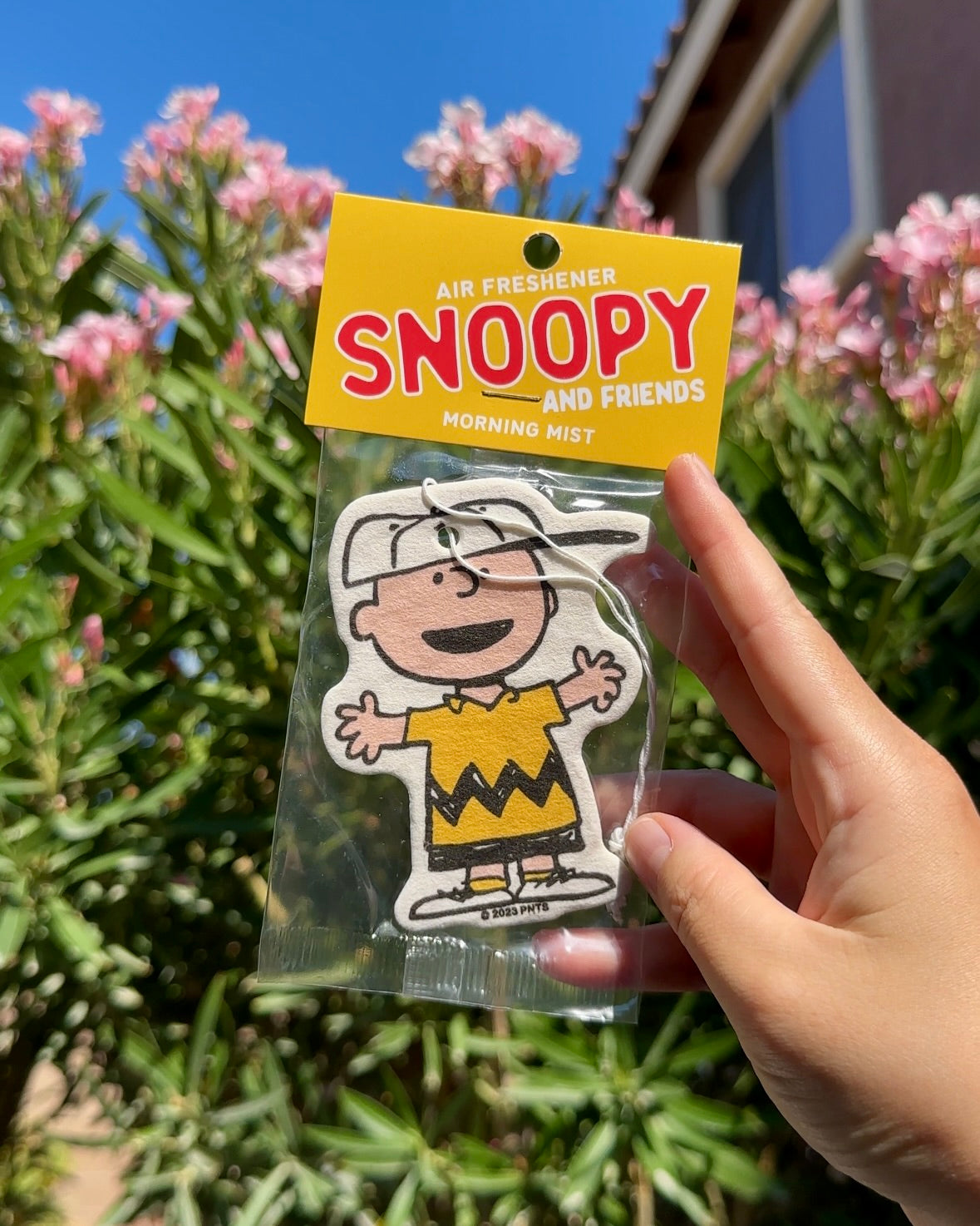 Hand holding a single packaged Charlie Brown Morning Mist scent air freshener against a background of pink flowers and green foliage.