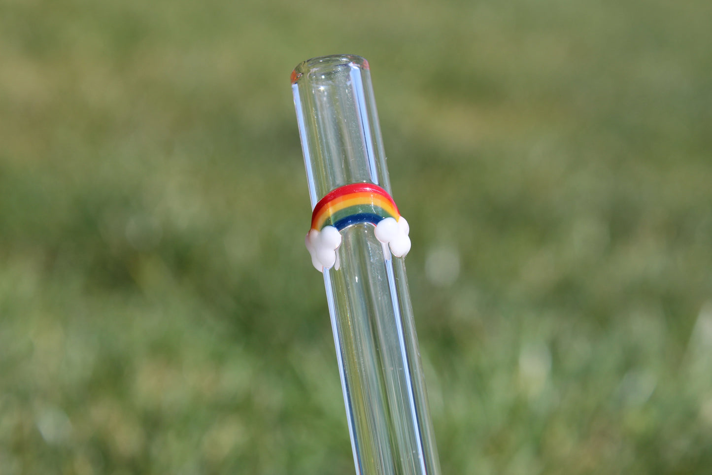 Chunky Smoothie Glass Straw with Cleaning Brush - Rainbow