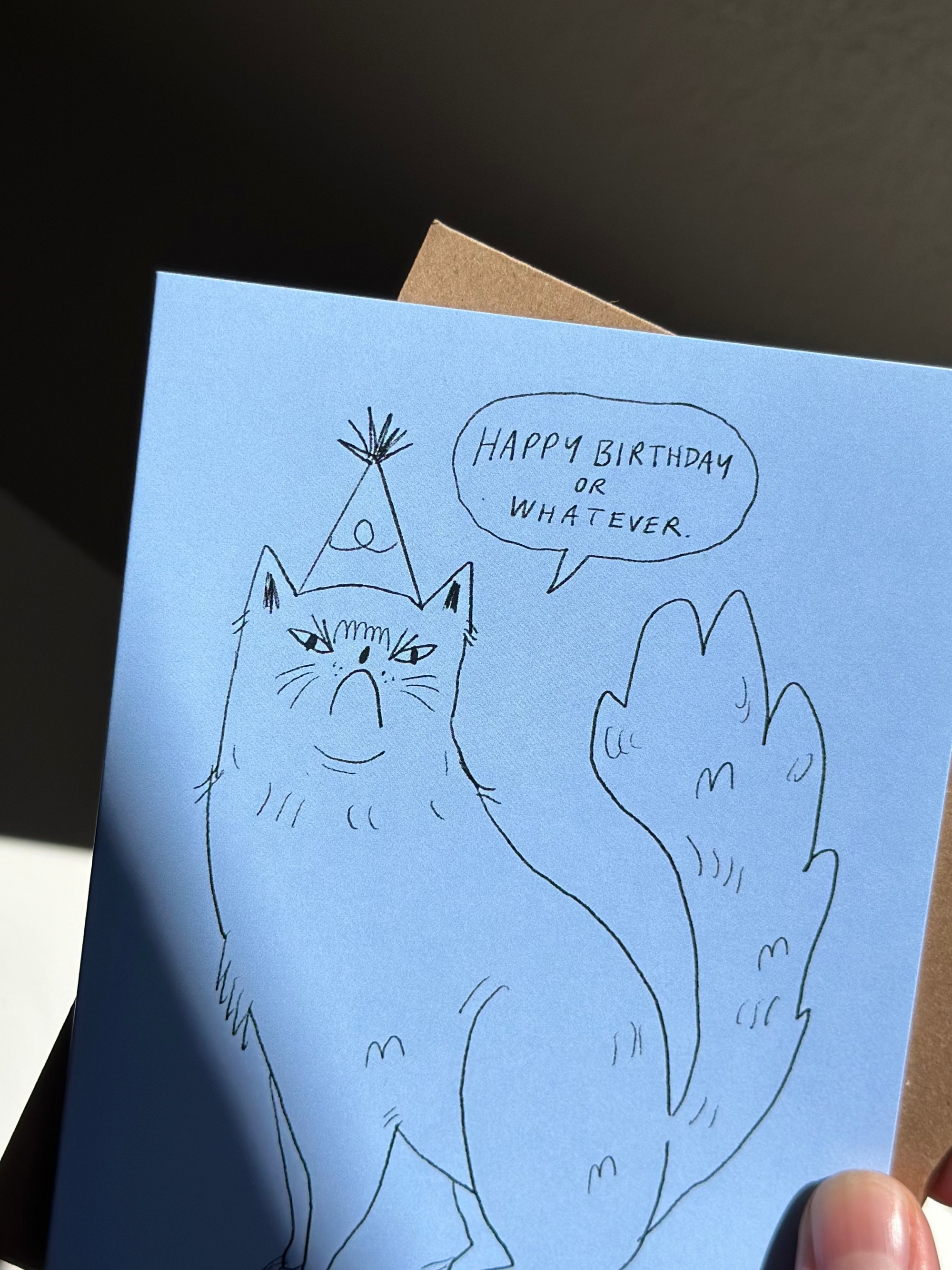 Funny cat birthday card with hand-drawn grumpy cat wearing party hat, saying ‘Happy Birthday or Whatever’ on blue card with brown kraft envelope.
