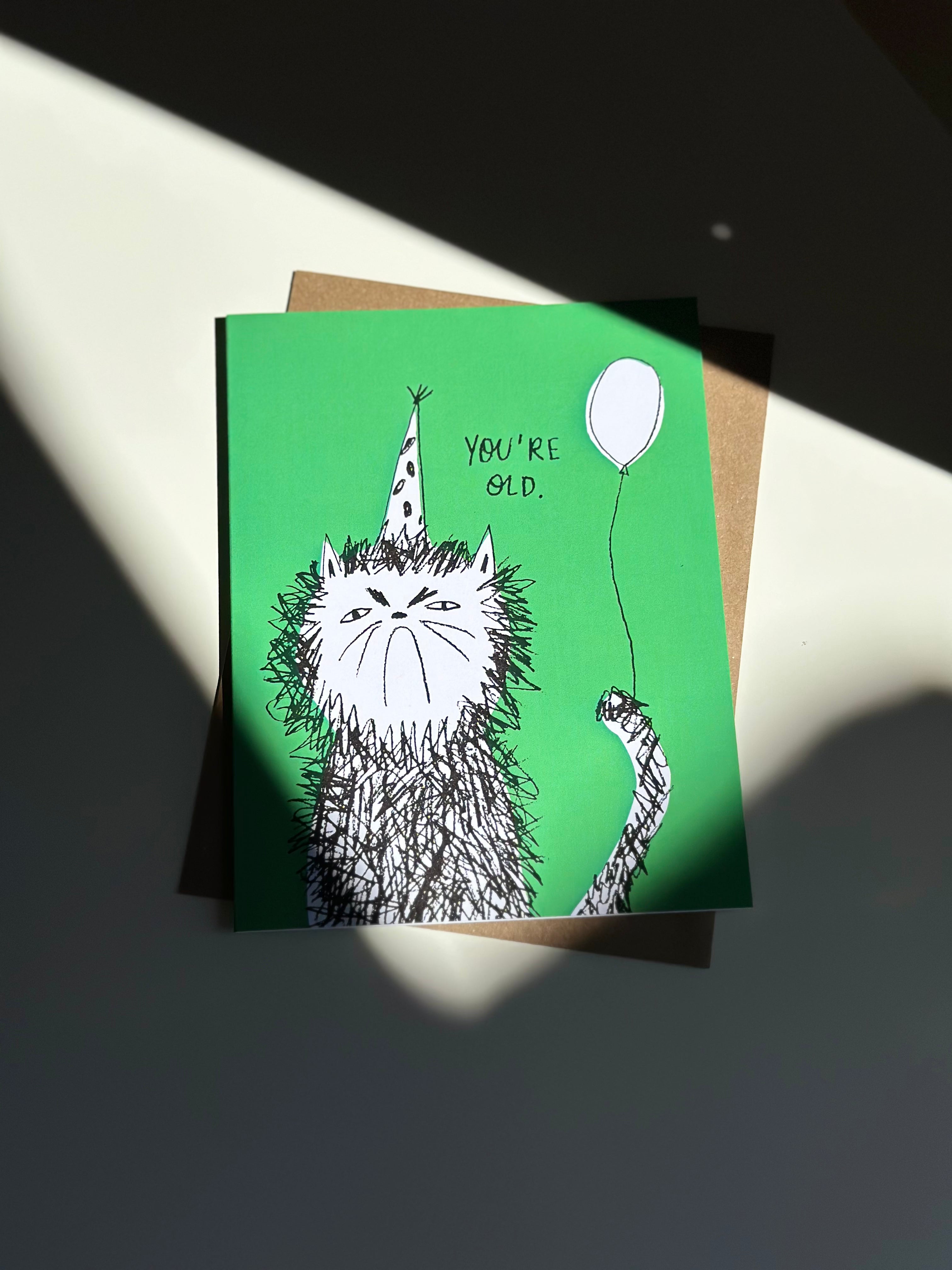 Funny cat birthday card with scruffy hand-drawn cat wearing a polka dot party hat and holding a balloon, saying ‘You’re Old’ on green background with brown kraft envelope.