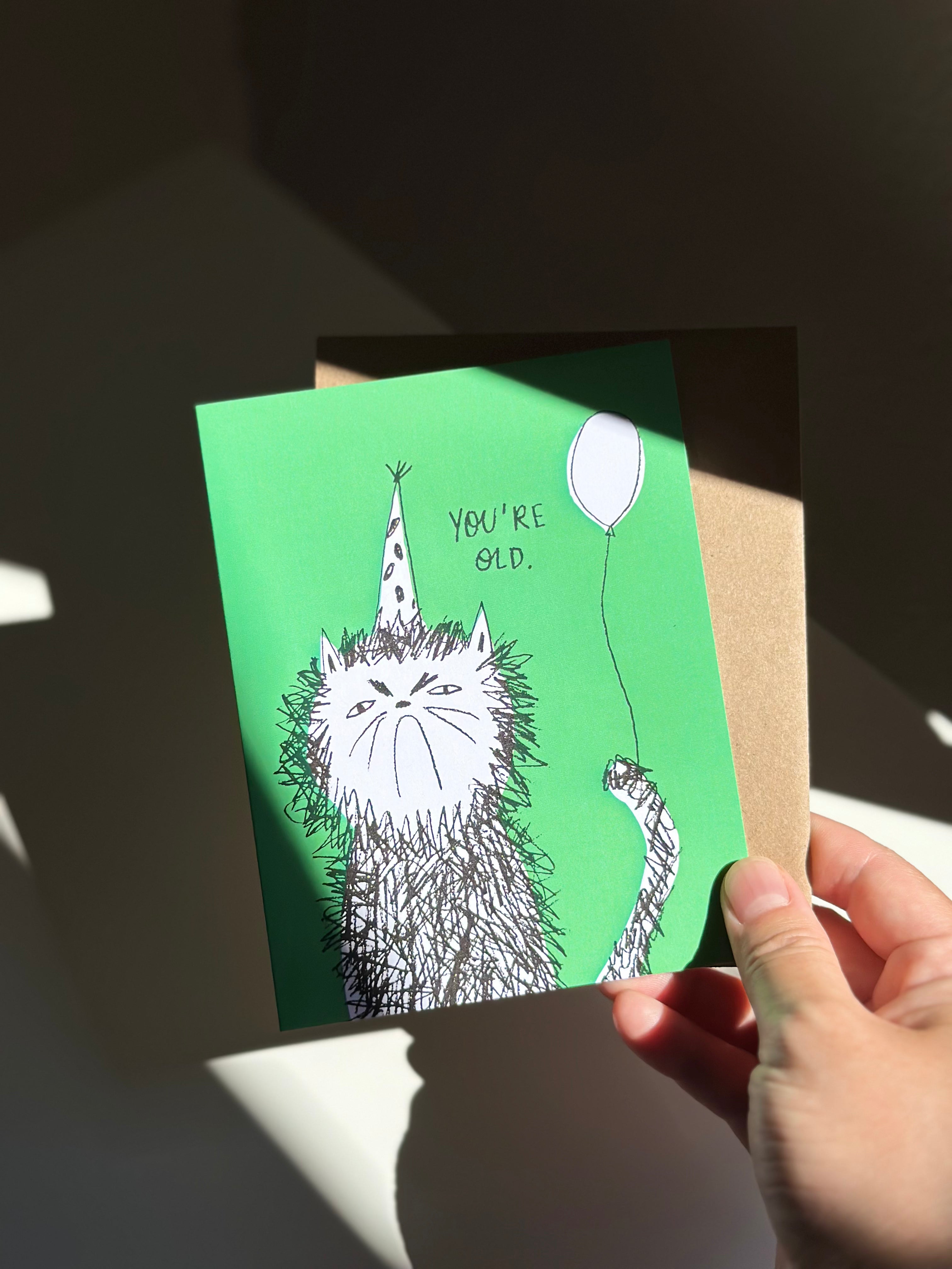 Funny cat birthday card with scruffy hand-drawn cat wearing a polka dot party hat and holding a balloon, saying ‘You’re Old’ on green background with brown kraft envelope.