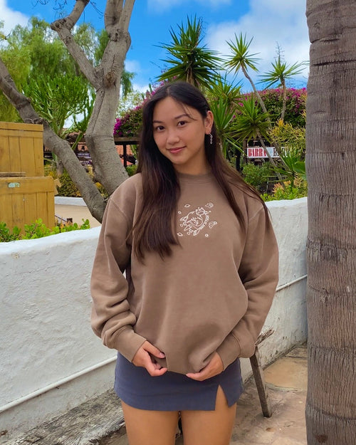 Person wearing a mocha brown embroidered crewneck sweatshirt outdoors, featuring a small floating character and “hang in there” message.