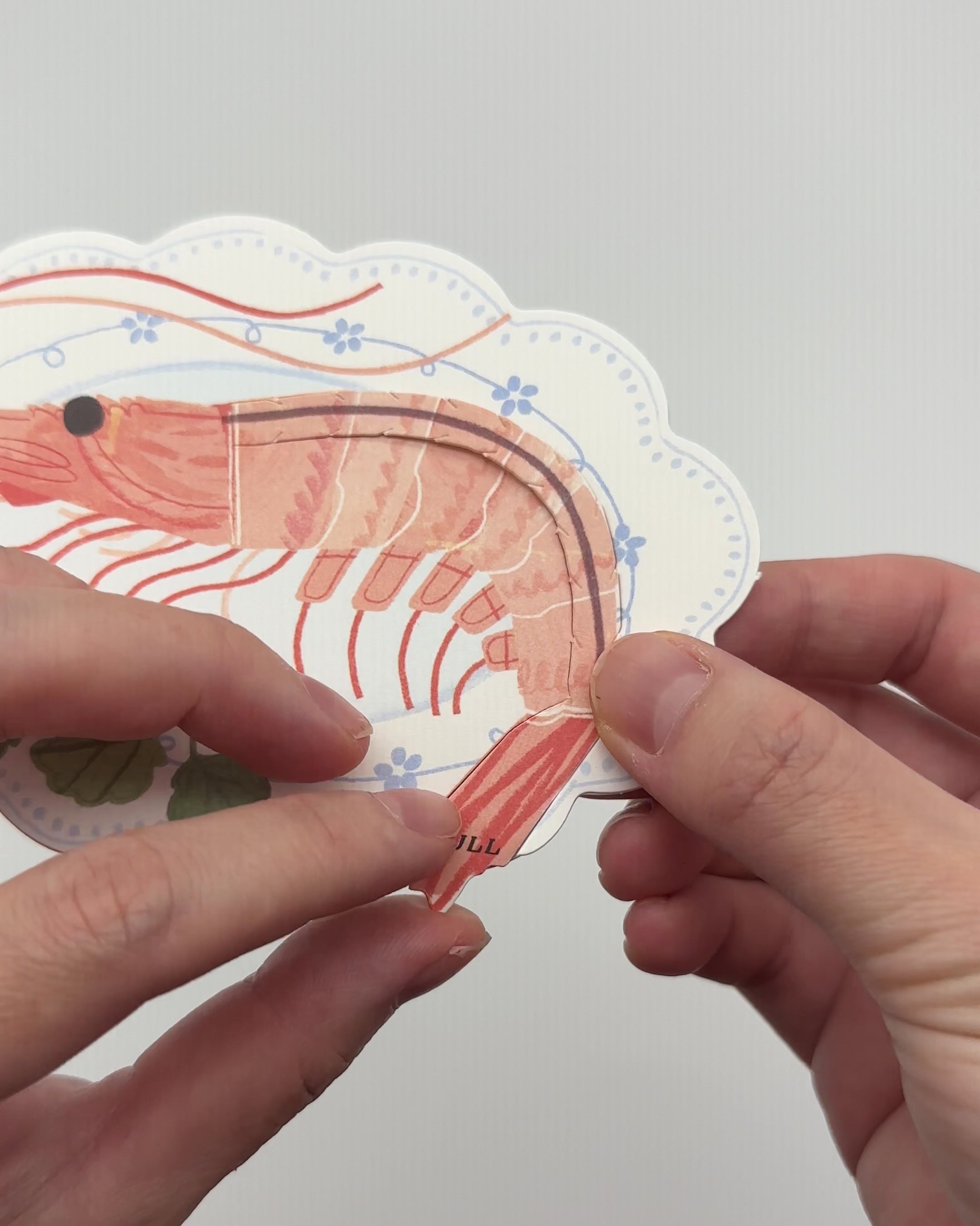 Funny Shrimp Greeting Card – “You’re the Sh*t” Interactive Peel-to-Reveal Pun