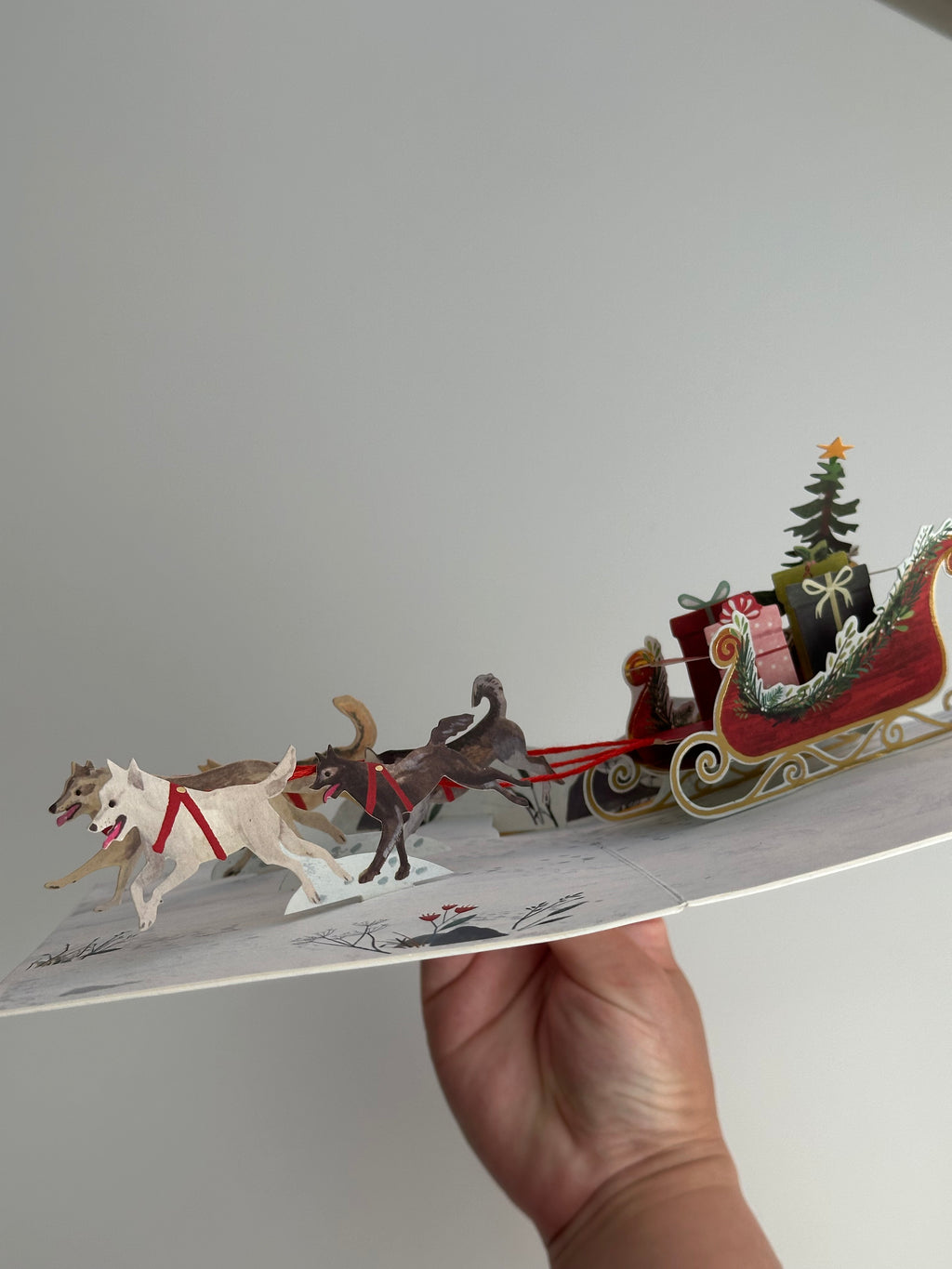 Hand holding pop-up Christmas card showing sled dogs pulling red sleigh with gifts.