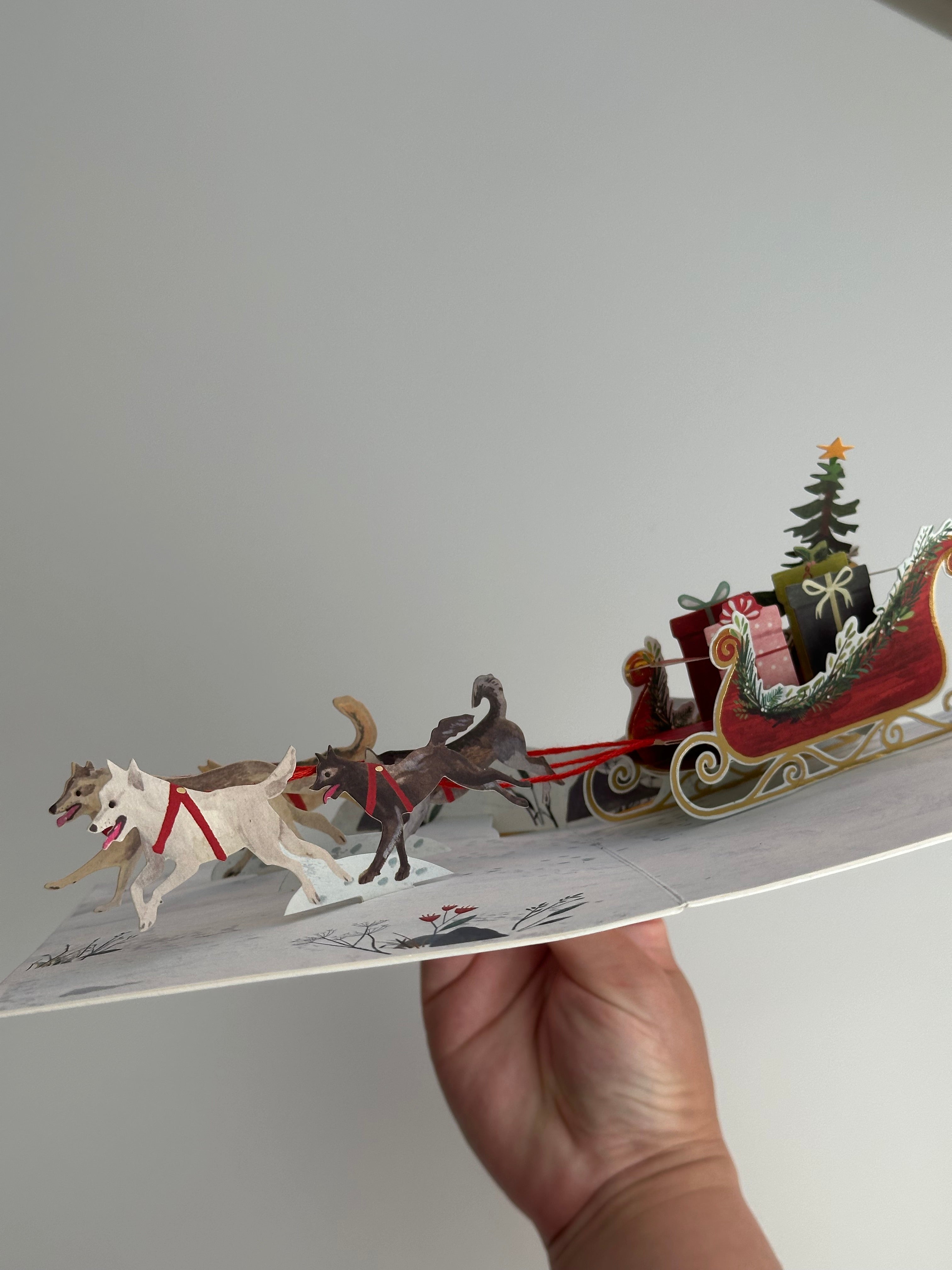 Hand holding pop-up Christmas card showing sled dogs pulling red sleigh with gifts.
