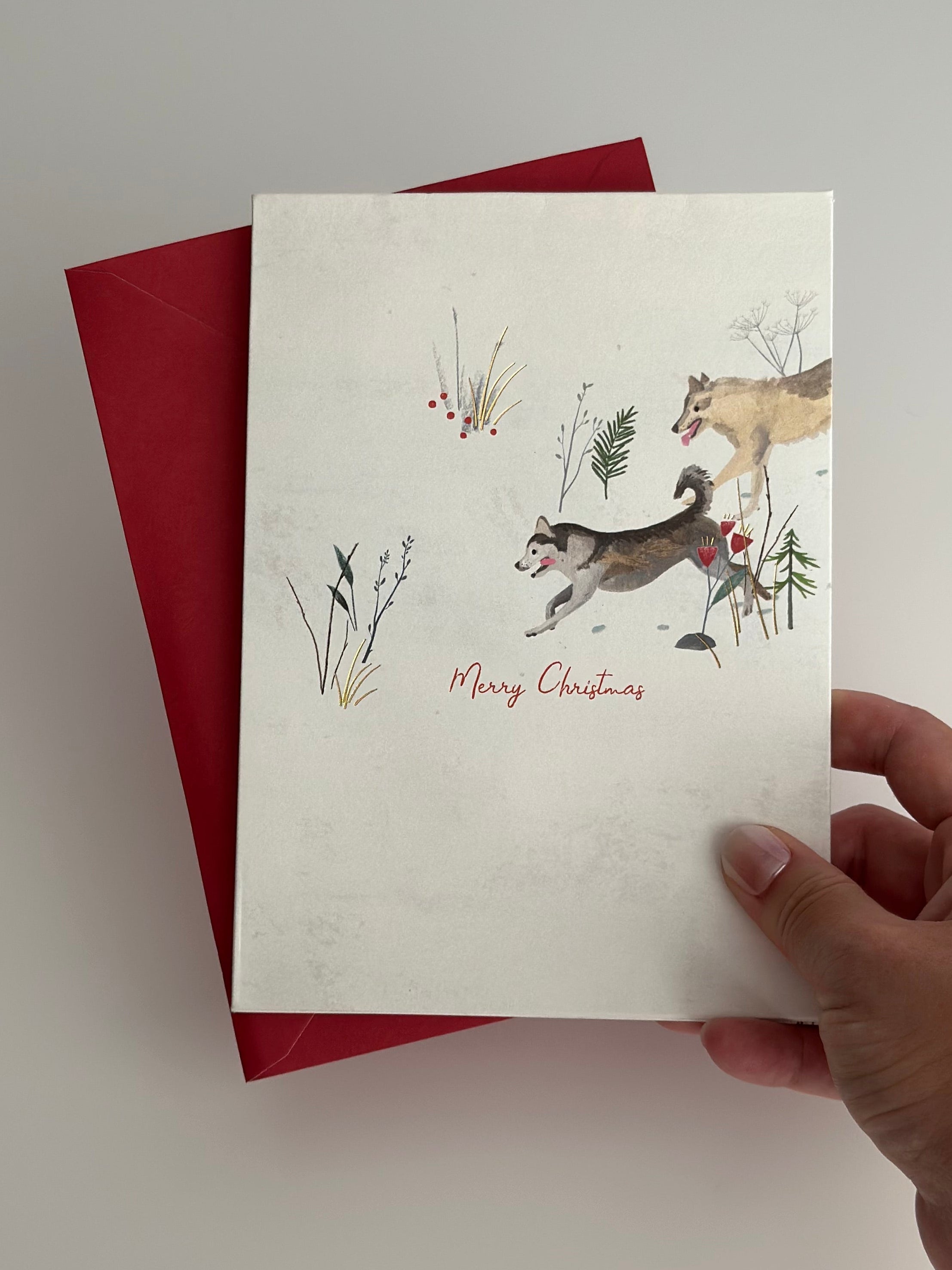 Merry Christmas card front with watercolor sled dogs and red envelope.