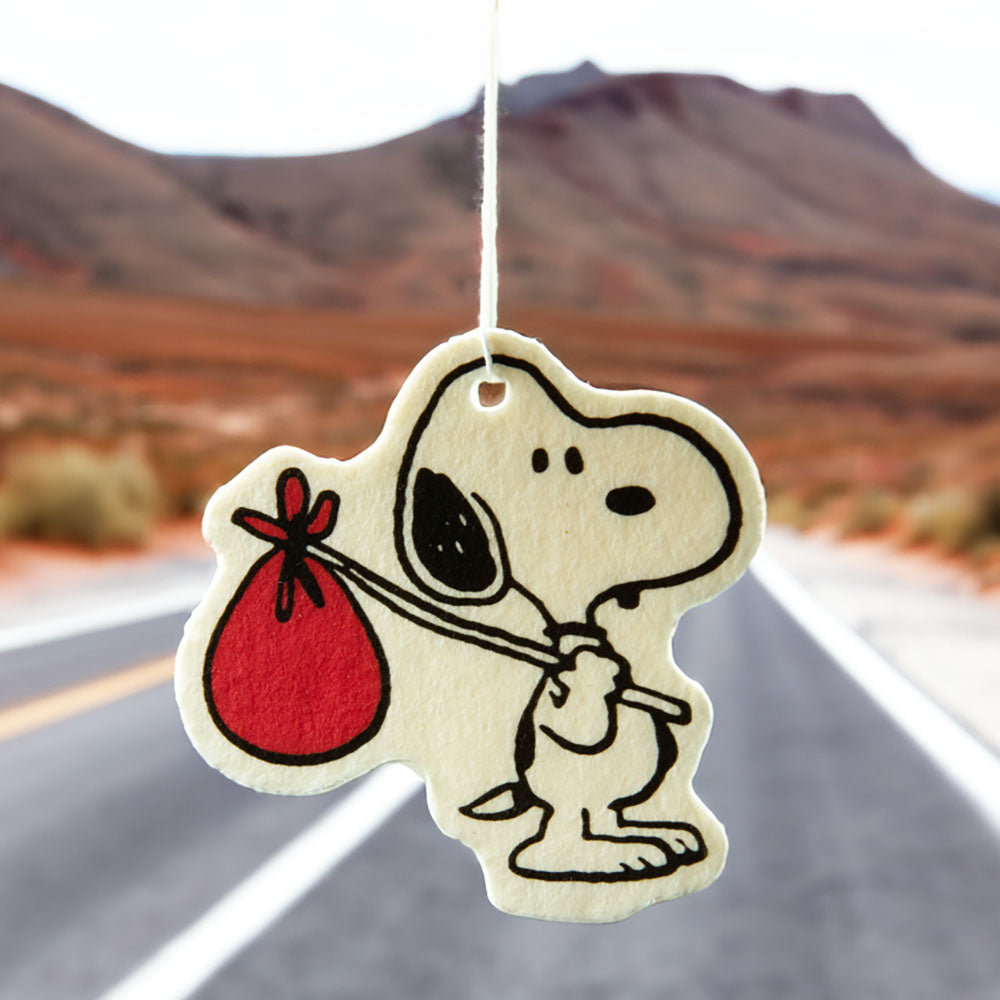 Snoopy nomad air freshener hanging in front of scenic desert road