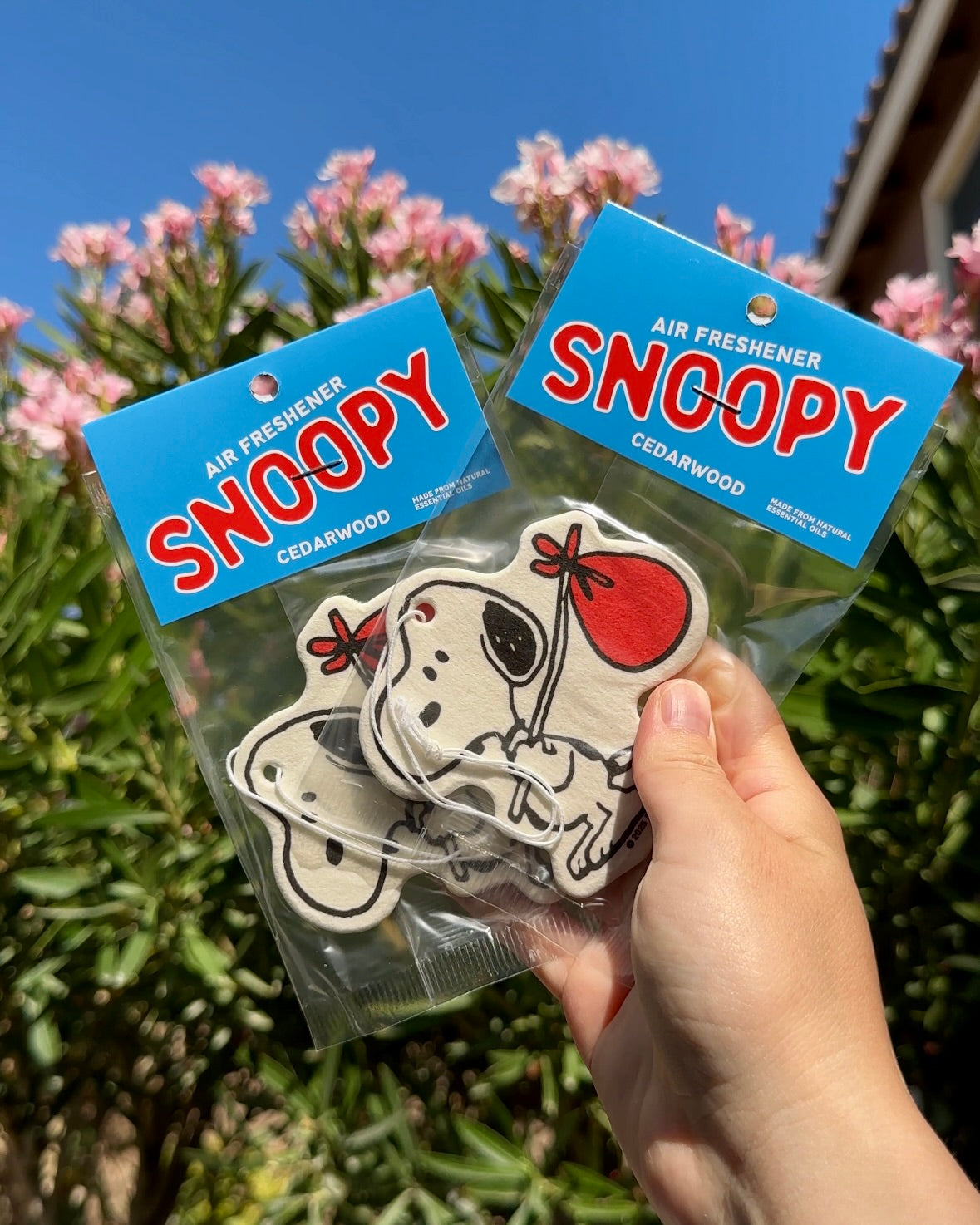 Hand holding two packaged Snoopy Nomad Cedarwood scent air fresheners against a sunny green foliage background.